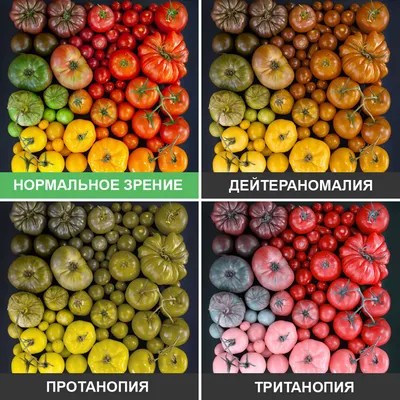 Почему появляется дальтонизм и можно ли его вылечить - Лайфхакер