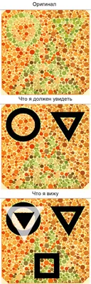 Дальтонизм - диагностика и симптомы, лечение • Новий Зір