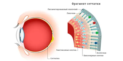 Дальтоник — друг человека (Минздрав не Прав) / Хабр