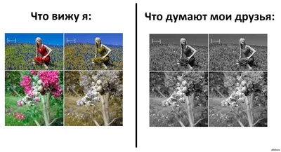 Создание дизайна для дальтоников (и вместе с ними) / Хабр