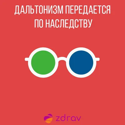 Как дальтоники видят наш мир - Факты о дальтонизме | Ralzo | Дзен