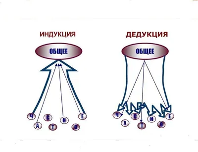 Что это такое – индукция и дедукция в линейном мышлении | Мой интеллект |  Дзен