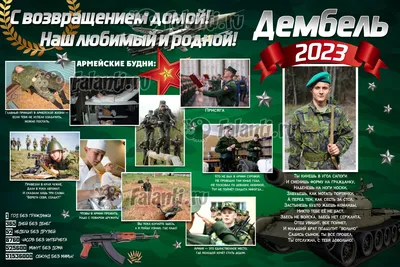 Книга Снова дембель - купить современной литературы в интернет-магазинах,  цены на Мегамаркет |
