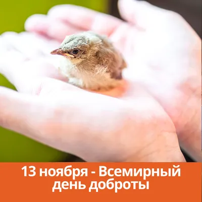 Всемирный день доброты\" - Это интересно - УЗНАЁМ ВМЕСТЕ - Рубрики - МБУК  Музей истории и ремёсел Советского района