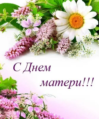День матери в России: история и традиции праздника | 27.11.2022 |  Красноярск - БезФормата