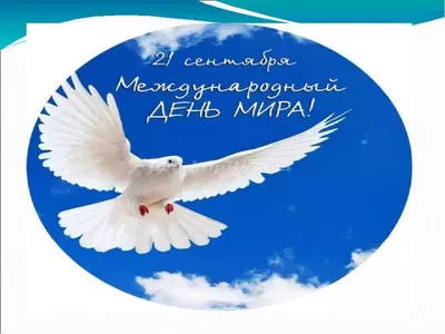 Сегодня Международный день мира | Новости Саратова и области —  Информационное агентство \"Взгляд-инфо\"