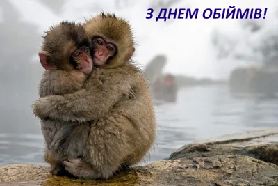 Весёлый текст стихами в день объятий - С любовью, Mine-Chips.ru