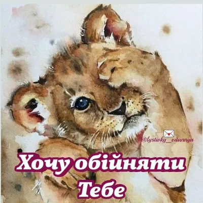 Всемирный день объятий | Библиотеки Архангельска