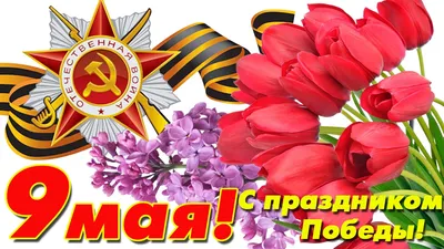 День Победы в парках Москвы 2022