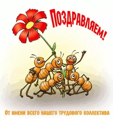Поздравления с Днем рождения женщине | giftmall