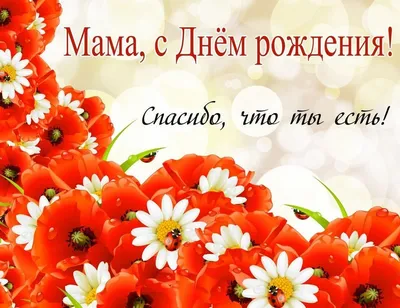 сднемрождениядочки | TikTok