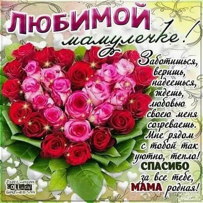 С днем рождения, мама! | TikTok