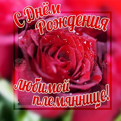 С днем рождения тете - красивые картинки и открытки - Телеграф