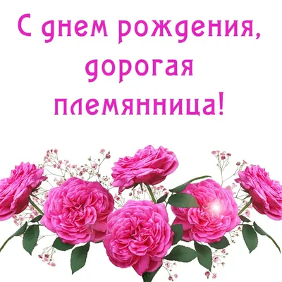 Открытки племяннице с Днем Рождения (100 штук)