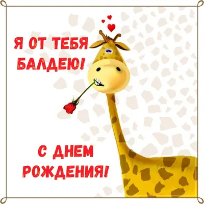 С днем рождения племянница картинки - поздравления
