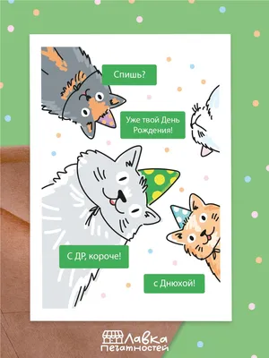 С днем рождения #подарок #подароксвоимируками #деньги #сднемрождения #... |  TikTok
