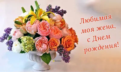Картинки на день рождения жене фотографии