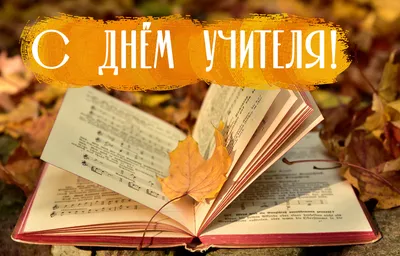 Поздравление с профессиональным праздником – День учителя | Администрация  Металлострой