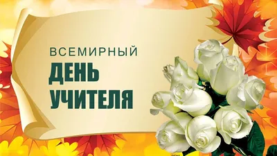 Что подарить на День учителя: 25 идей | РБК Life