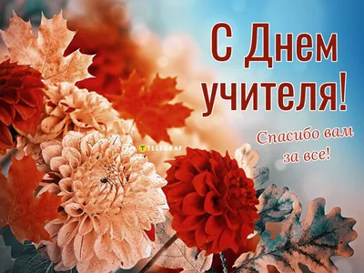 День учителя 5 октября: небанальные открытки, стихи и поздравления к  празднику - sib.fm