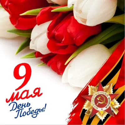 День Победы 9 Мая: суть праздника, история, значение и традиции