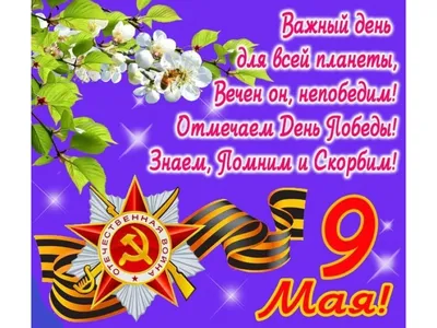 Книги к 9 мая | Издательство АСТ