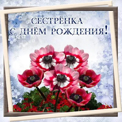 Подарок сестре на день рождения (тексты можно менять + ваше фото)  (ID#908318121), цена: 1020 ₴, купить на Prom.ua
