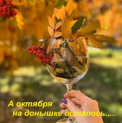 Водка на донышке | Пикабу