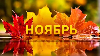 В Тюмени такси взяли на работу Шурыгину — фото