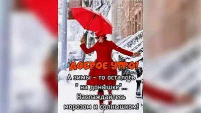 Кто такая Диана Шурыгина “на донышке”: как 17-летняя девушка из провинции  стала интернет-мемом - KP.RU