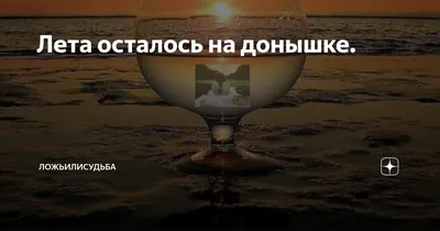 Свадьба автора крылатой фразы \"на донышке\" и оператора первого  канала-очередное шоу или внезапно вспыхнувшая любовь? | Shpilka Clab | Дзен