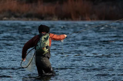 Fly fishing (U.S. National Park Service)