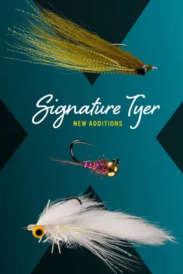 Bombyliidae fly (Bee Fly) | U.S. Geological Survey