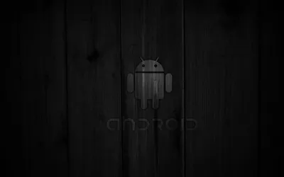 Обои на телефон, скачать бесплатно картинки, фото и заставки для телефона |  mob.org