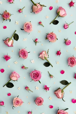 Whatsapp Wallpaper 115