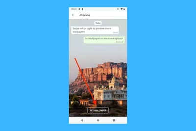 Иконка WhatsApp» +диалоговый круг, …» — создано в Шедевруме