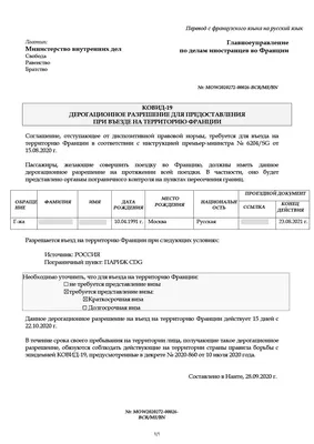 доброе утро на французском с синим фоном и растениями PNG , доброе утро,  Французский, утро PNG картинки и пнг PSD рисунок для бесплатной загрузки