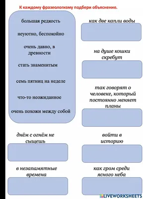 Фразеокотизмы. Фразеологизмы о котах и кошках. Е.С. Грабчикова | Грабчикова  Елена Самарьевна - купить с доставкой по выгодным ценам в интернет-магазине  OZON (1250693099)