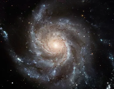 4,000+ Best Galaxy Photos · 100% Free Download · Pexels Stock Photos