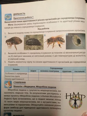 На Білоцерківщині затримали групу розбійників зі Сквири