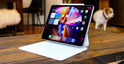 Apple iPad 2018 review: The iPad for everyone - CNET