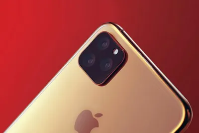 Купить Apple iPhone 11 Pro Max 256 ГБ тёмно-зелёный в СПб самые низкие  цены, интернет магазин по продаже Apple iPhone 11 Pro Max 256 ГБ  тёмно-зелёный в Санкт-Петербурге