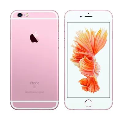 iPhone 6 Plus Review: The First Truly Well-Designed Big Smartphone |  TechCrunch