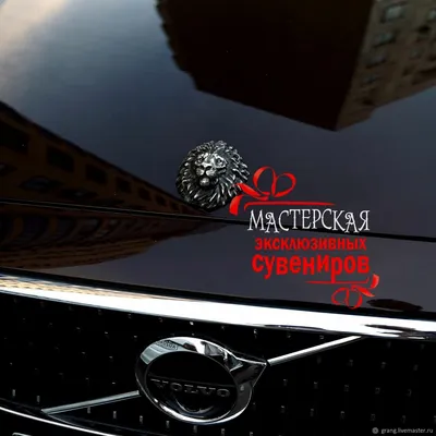 Злая утка на капот автомобиля, купить или заказать: Злая утка на капот  автомобиля, купить или заказать недорого | Мастерская эксклюзивных сувениров