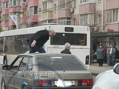 Лев - фигурка на капот автомобиля в интернет-магазине Ярмарка Мастеров по  цене 7375 ₽ – R16PARU | Автомобильные сувениры, Москва - доставка по России