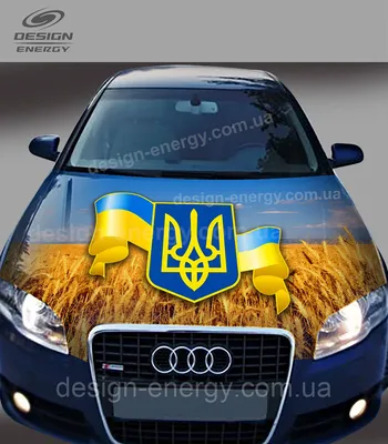 Свадебное украшение машины лента на капот авто молодоженов Красивая свадьба  28907966 купить за 2 003 ₽ в интернет-магазине Wildberries