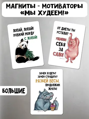 Магнит на холодильник магнитик в подарок TokaCro 39679659 купить за 414 ₽ в  интернет-магазине Wildberries