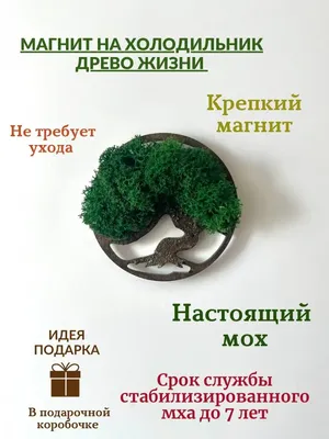 Наклейки на холодильник купить в Украине - DesignStiсkers