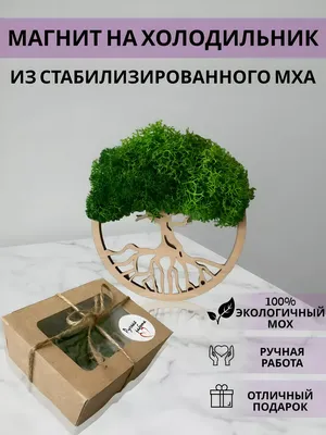 Какие продукты должны быть в холодильнике у всех, кто хочет похудеть –  Учительская газета