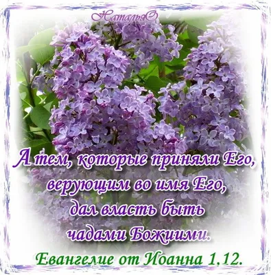 На пути. Песни на христианскую тематику. | Поэзия и музыка | Дзен